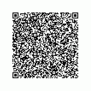vCard 78482300013