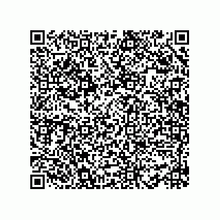 vCard 78482300027