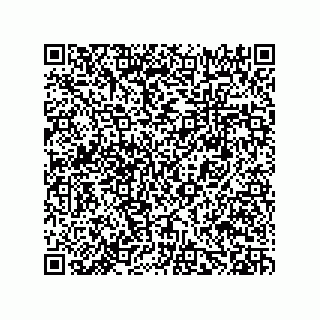 vCard 78482300033