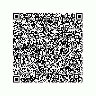 vCard 78482300037
