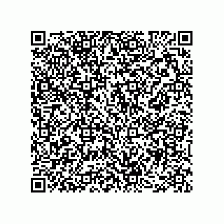 vCard 78482300099