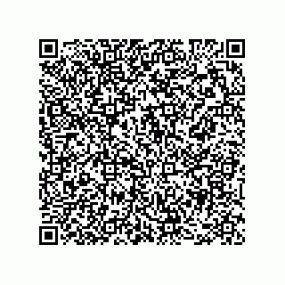 vCard 78482300113