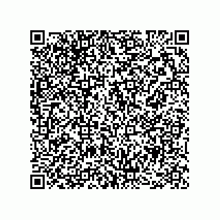 vCard 78482300310