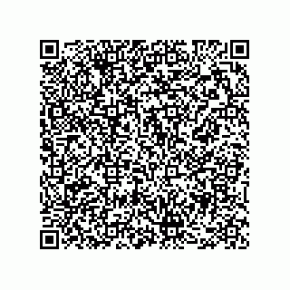 vCard 78482300313