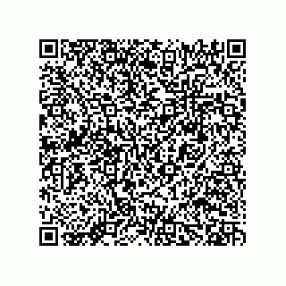 vCard 78482300377