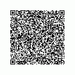 vCard 78482300379