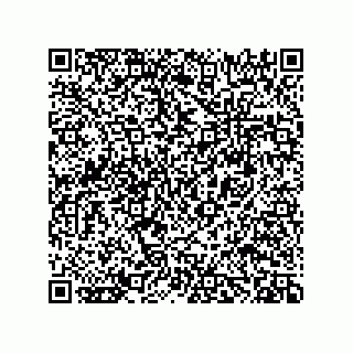 vCard 78482300385