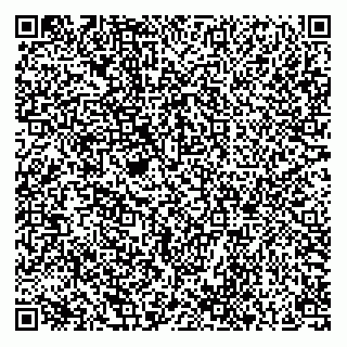 vCard 78482408002