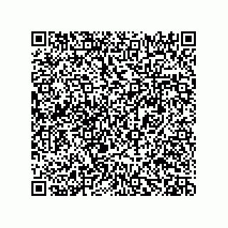 vCard 78482408010