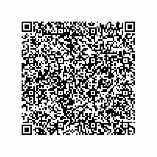 vCard 78482408063