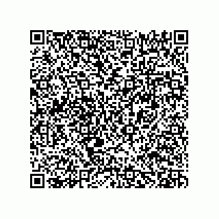 vCard 78482408131