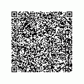 vCard 78482408133
