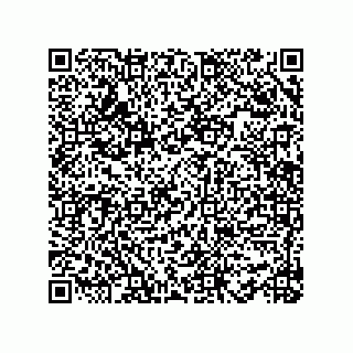 vCard 78482408153