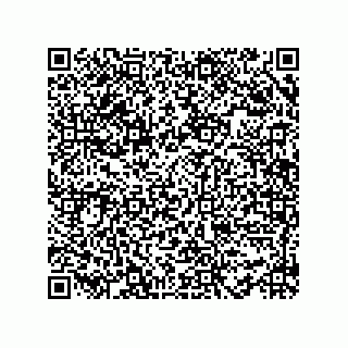 vCard 78482408381