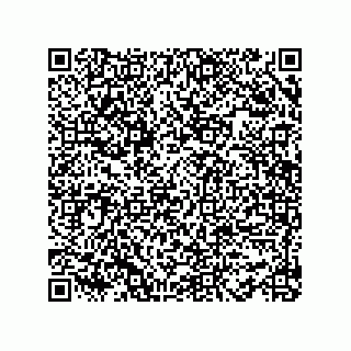 vCard 78482420310