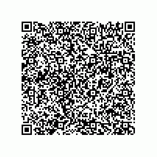 vCard 78482420313