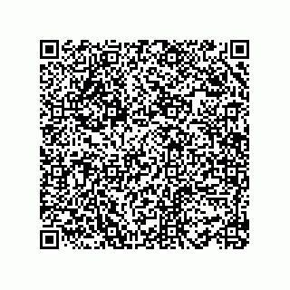 vCard 78482420411
