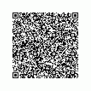 vCard 78482538334
