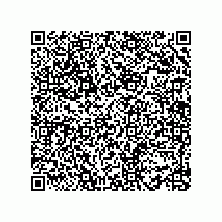 vCard 78482538411