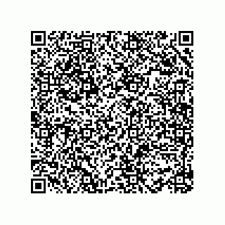 vCard 78482538479
