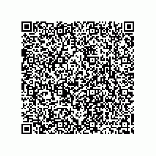 vCard 78482600161