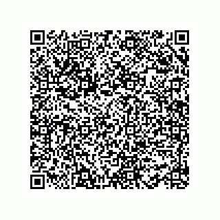 vCard 78482600393