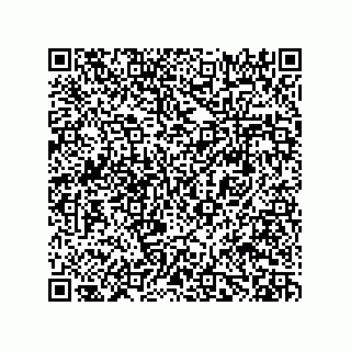 vCard 78482639133