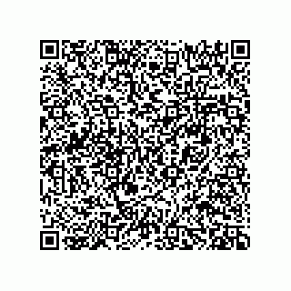 vCard 78482639287