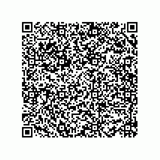 vCard 78482639300