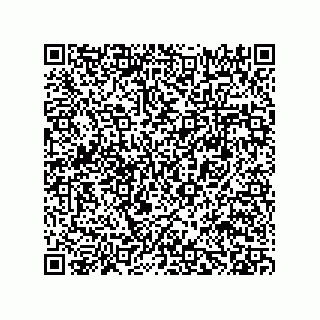 vCard 78482639331