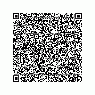vCard 78482639333