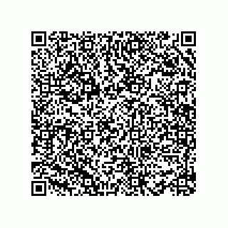 vCard 78482719633