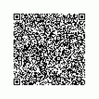 vCard 78482719903