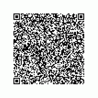 vCard 78482719931