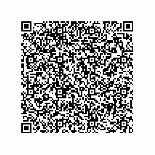 vCard 78482719981