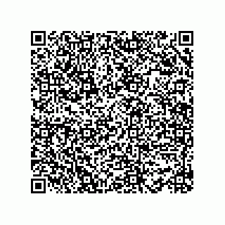 vCard 78482760133