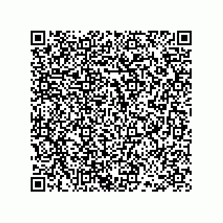 vCard 78486240413