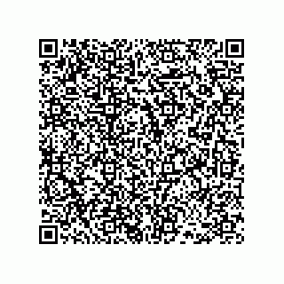 vCard 78486240736
