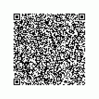 vCard 78486240791