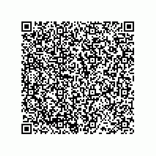 vCard 78486240807