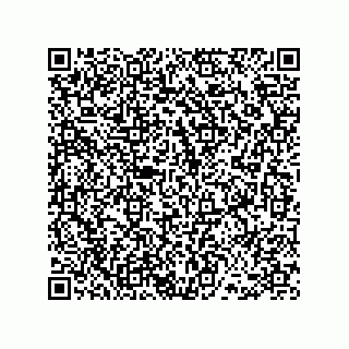 vCard 78486240809
