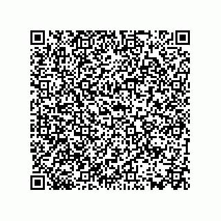 vCard 78512991381