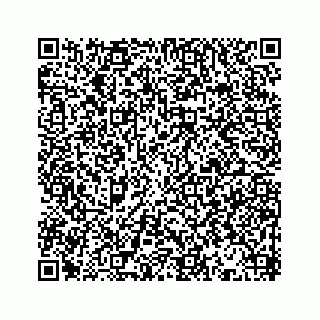 vCard 78514393111