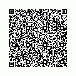 vCard 78514393229