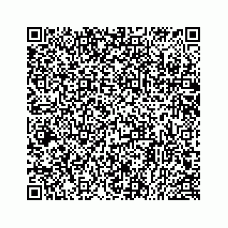 vCard 78514393339