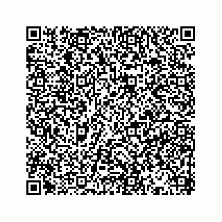 vCard 78514393411