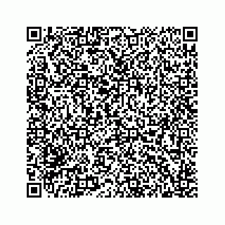vCard 78514393413