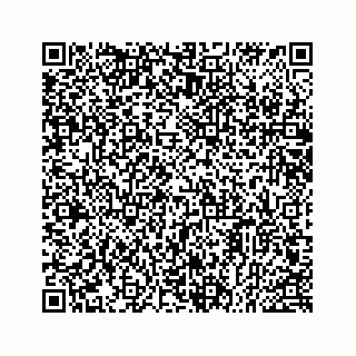 vCard 78514393505