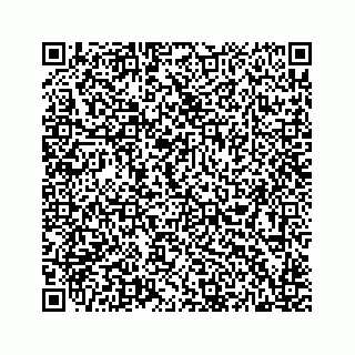 vCard 78514393522