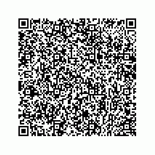 vCard 78514393631